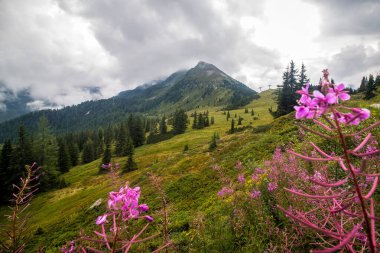 Dağlarda dağları olan güzel bir manzara.