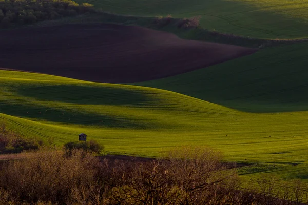 Bellissimo Paesaggio Montagna — Foto Stock