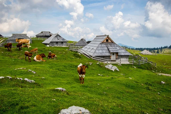 Beautiful Landscape Village Mountains — Stock Photo, Image