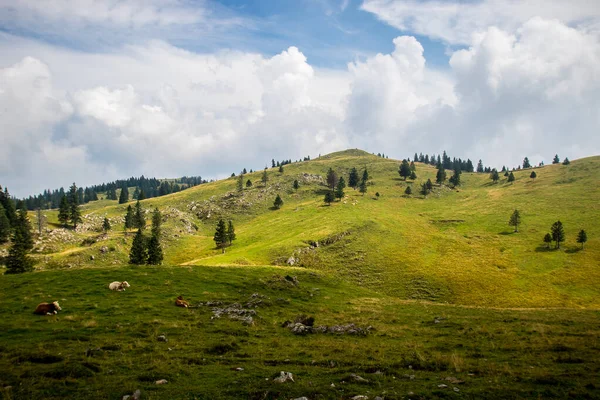Dağları ve bulutları olan güzel bir manzara