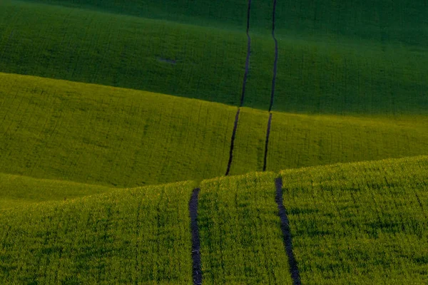 Vanuit Lucht Uitzicht Groene Velden Heuvels — Stockfoto