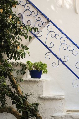 Beyaz merdivenlerde çiçekli saksı bitkisi