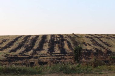 Siyah is, saman yanmış. Ateşle. Alan