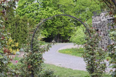 Baharda çiçek açan bir bahçede kemer. Boşluğu kopyala - doğa, yeşillik, hava durumu.