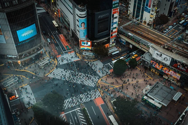 2017年10月20日 人和交通在涩谷横穿 Shibuyatokyo 的争夺是东京的著名地标 用于夜生活和涩谷的生意 — 图库照片