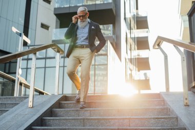 Şık sakal portreleri ile üst düzey hipster