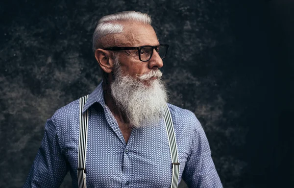 Hipster Senior Con Retratos Barba Con Estilo —  Fotos de Stock