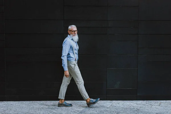 Hipster Senior Avec Des Portraits Barbe Élégants — Photo