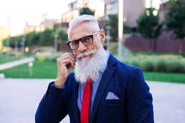 Senior hipster with stylish beard portraits