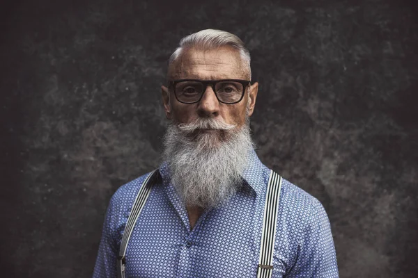 Senior Hipster Stylish Beard Portraits — Stock Photo, Image