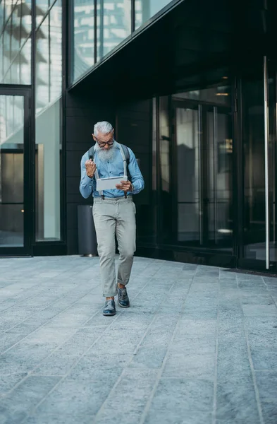 Anziani Hipster Con Eleganti Ritratti Barba — Foto Stock