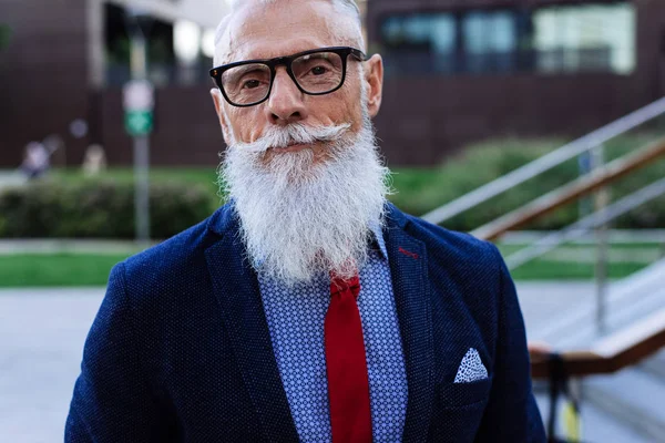 Senior hipster with stylish beard portraits