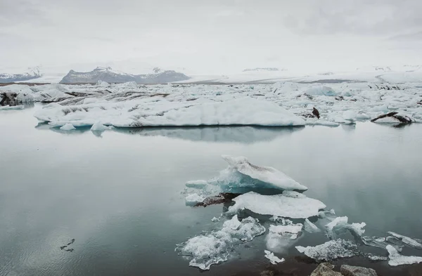 Wanderlust Opdagelsesrejsende Opdage Icelandic Naturlige Vidundere - Stock-foto