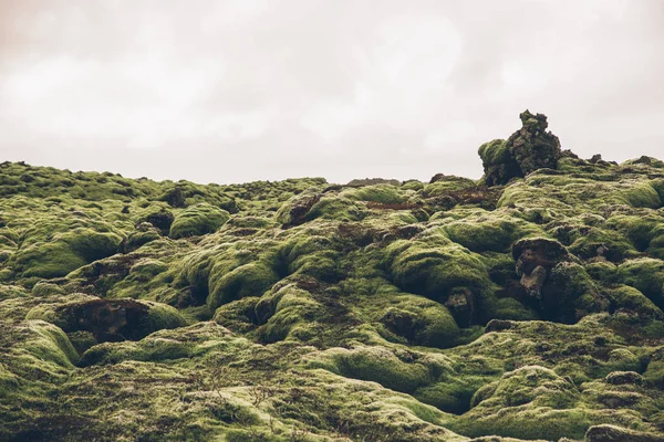 Colline Verdi Islandesi Panorami — Foto Stock