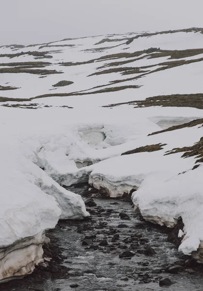 Wanderlust Explorador Descubriendo Maravillas Naturales Icelándicas —  Fotos de Stock