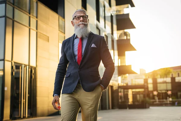 Bello Ritratto Dell Uomo Anziano Uomo Giovane Elegante Negli Anni — Foto Stock