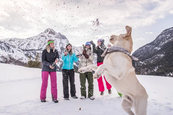 Feliz Grupo Personas Que Divierten Las Vacaciones Invierno Amigos Witn —  Fotos de Stock