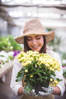 Ona çiçek ve bitki dükkanı - bir serada çalışan Asyalı kadın bitkilerde bakımı oldukça kadın bahçıvan
