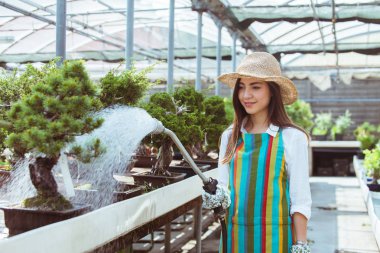 Ona çiçek ve bitki dükkanı - bir serada çalışan Asyalı kadın bitkilerde bakımı oldukça kadın bahçıvan