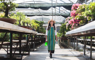 Ona çiçek ve bitki dükkanı - bir serada çalışan Asyalı kadın bitkilerde bakımı oldukça kadın bahçıvan