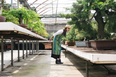 Ona çiçek ve bitki dükkanı - bir serada çalışan Asyalı kadın bitkilerde bakımı oldukça kadın bahçıvan