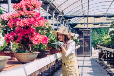 Ona çiçek ve bitki dükkanı - bir serada çalışan Asyalı kadın bitkilerde bakımı oldukça kadın bahçıvan