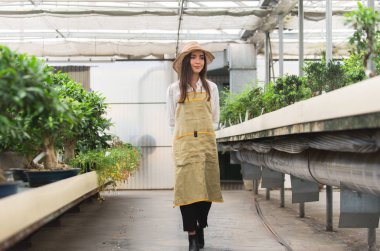 Ona çiçek ve bitki dükkanı - bir serada çalışan Asyalı kadın bitkilerde bakımı oldukça kadın bahçıvan