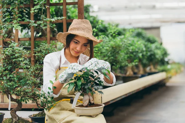 Bonita Jardinera Cuidando Plantas Tienda Flores Plantas Mujer Asiática Trabajando —  Fotos de Stock