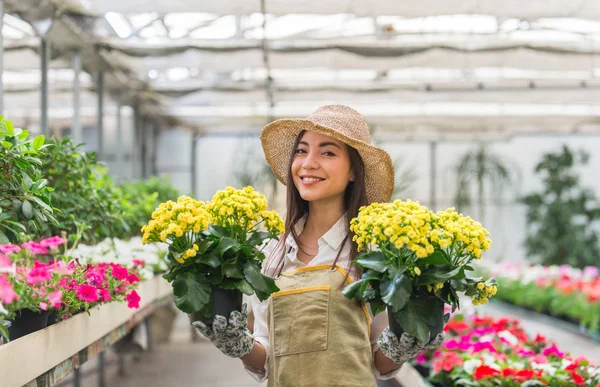 Bonita Jardinera Cuidando Plantas Tienda Flores Plantas Mujer Asiática Trabajando —  Fotos de Stock