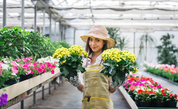 Bonita Jardinera Cuidando Plantas Tienda Flores Plantas Mujer Asiática Trabajando —  Fotos de Stock