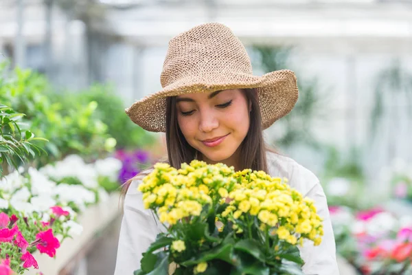 Hübsche Gärtnerin Pflegt Pflanzen Ihrem Blumengeschäft Asiatin Arbeitet Einem Gewächshaus — Stockfoto