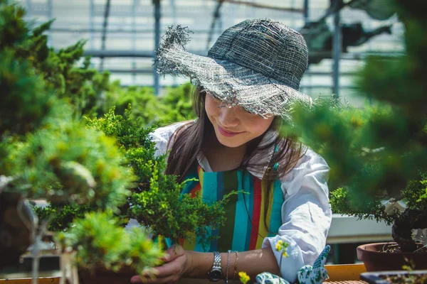 Bonita Jardinera Cuidando Plantas Tienda Flores Plantas Mujer Asiática Trabajando —  Fotos de Stock