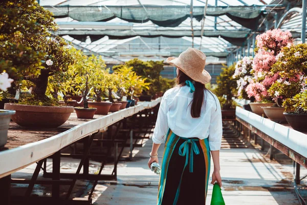 Hübsche Gärtnerin Pflegt Pflanzen Ihrem Blumengeschäft Asiatin Arbeitet Einem Gewächshaus — Stockfoto