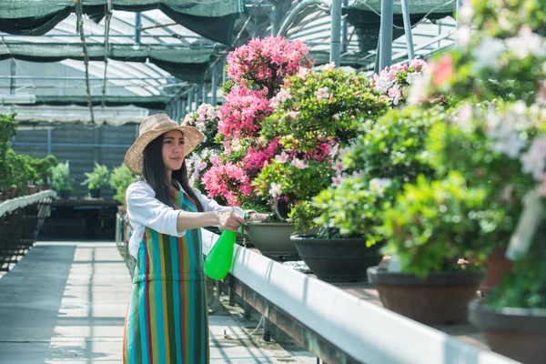 漂亮的女性园丁照顾植物在她的花卉商店 亚洲妇女在温室工作 — 图库照片