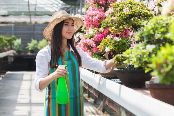 Hübsche Gärtnerin Pflegt Pflanzen Ihrem Blumengeschäft Asiatin Arbeitet Einem Gewächshaus — Stockfoto