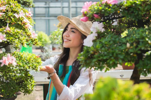 Hübsche Gärtnerin Pflegt Pflanzen Ihrem Blumengeschäft Asiatin Arbeitet Einem Gewächshaus — Stockfoto