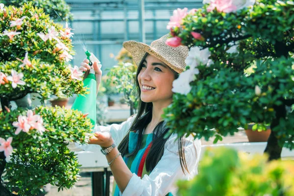 漂亮的女性园丁照顾植物在她的花卉商店 亚洲妇女在温室工作 — 图库照片