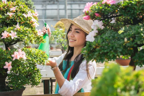 Ona çiçek ve bitki dükkanı - bir serada çalışan Asyalı kadın bitkilerde bakımı oldukça kadın bahçıvan