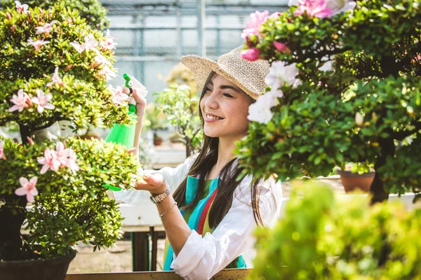 漂亮的女性园丁照顾植物在她的花卉商店 亚洲妇女在温室工作 — 图库照片