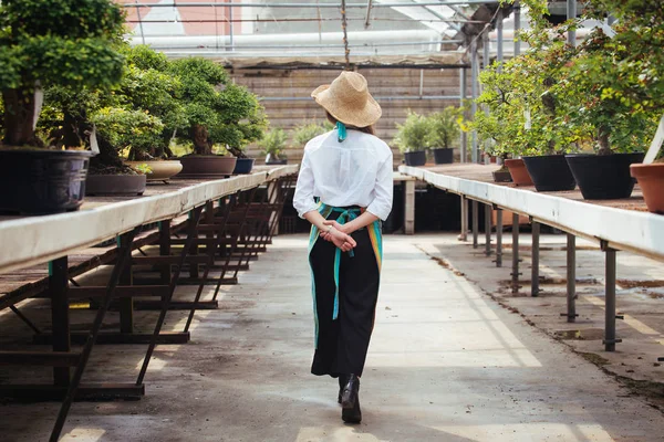 그녀의 아시아 여자는 온실에서 식물의 정원사 — 스톡 사진
