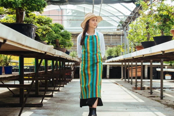 Ona çiçek ve bitki dükkanı - bir serada çalışan Asyalı kadın bitkilerde bakımı oldukça kadın bahçıvan