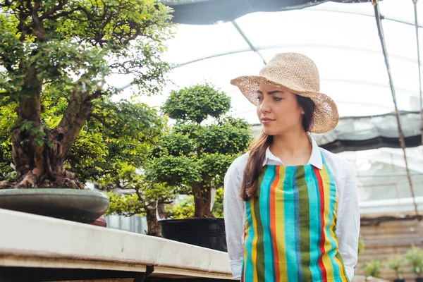 Bonita Jardinera Cuidando Plantas Tienda Flores Plantas Mujer Asiática Trabajando —  Fotos de Stock