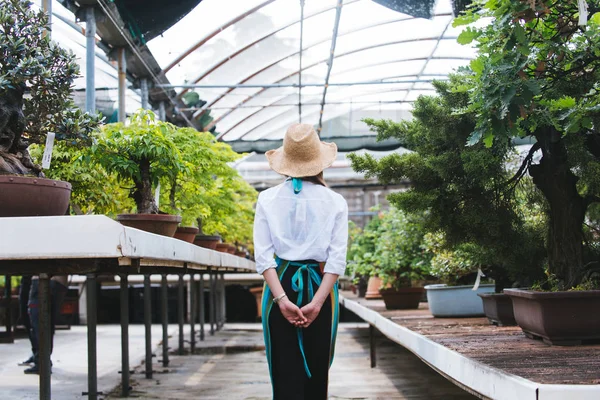 Jardineiro Muito Feminino Cuidando Plantas Suas Flores Plantas Loja Mulher — Fotografia de Stock