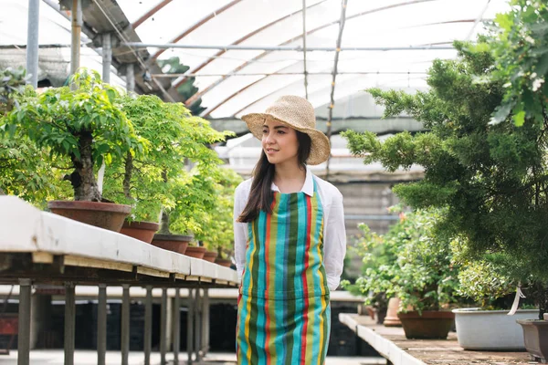 Красивая Садовница Ухаживает Растениями Цветочном Магазине Азиатка Работает Теплице — стоковое фото
