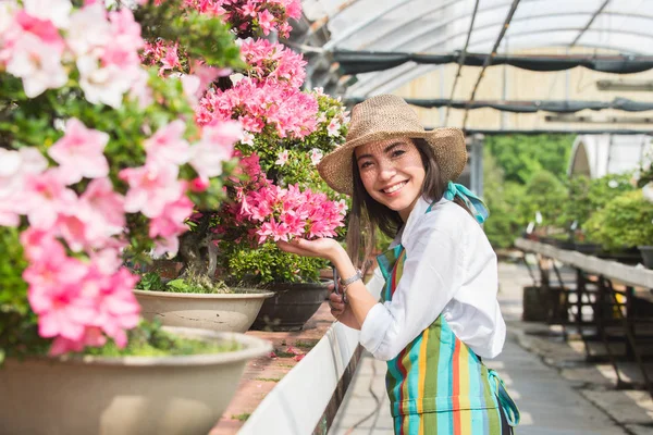 Bonita Jardinera Cuidando Plantas Tienda Flores Plantas Mujer Asiática Trabajando —  Fotos de Stock