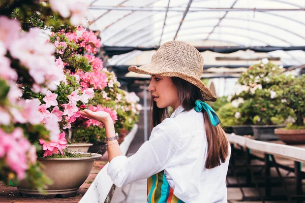 Bonita Jardinera Cuidando Plantas Tienda Flores Plantas Mujer Asiática Trabajando —  Fotos de Stock