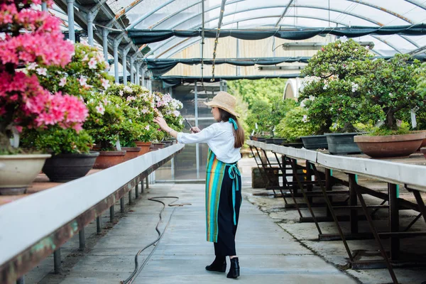 Hübsche Gärtnerin Pflegt Pflanzen Ihrem Blumengeschäft Asiatin Arbeitet Einem Gewächshaus — Stockfoto