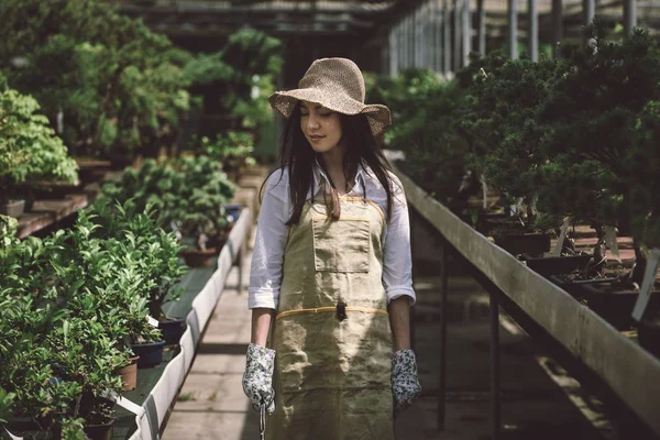 Ona çiçek ve bitki dükkanı - bir serada çalışan Asyalı kadın bitkilerde bakımı oldukça kadın bahçıvan