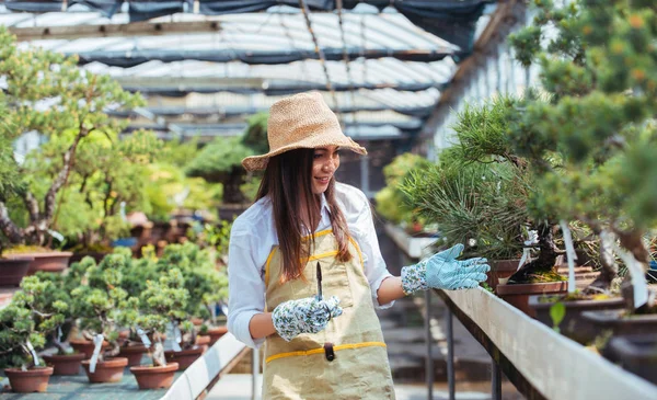 Ganska Kvinnlig Trädgårdsmästare Hand Växter Hennes Blommor Och Växter Shop — Stockfoto