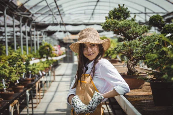 Tukang Kebun Perempuan Cantik Mengurus Tanaman Bunga Dan Toko Tanamannya — Stok Foto